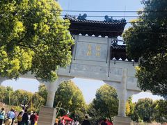 -南汇桃花村
