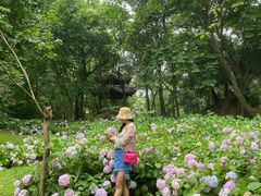 -采石矶景区