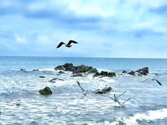 -银沙滩浴场