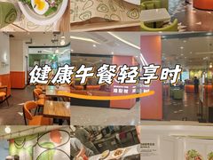 -油梨树 AVOCADO TREE(亮马桥店)