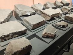 -兴隆文化园景区-兖州博物馆