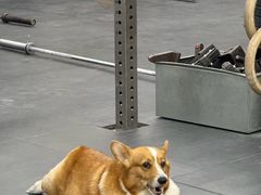 -BiM综合体能训练中心(漕河泾绿洲馆)
