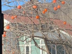 -静之湖度假区