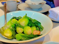 菜籽油小菜苞-杭州西湖柳莺里酒店·闻莺厅