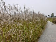 -汉长安城未央宫国家考古遗址公园