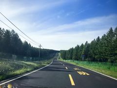 -御道口草原森林风景区