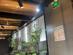 -吉庆莲年有鱼炭烤鱼(苏宁广场店)