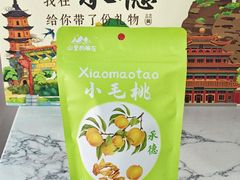 -普陀宗乘之庙(小布达拉宫)