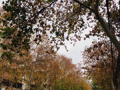 -江湖串串香(金牛万达店)