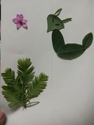 -太郎花子婚纱摄影艺术中心