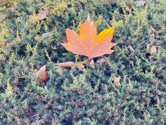 -滨河世纪广场公园