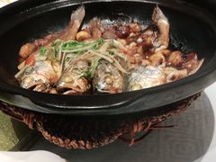 -有喜胶东小馆(超极合生汇太申祥和店)
