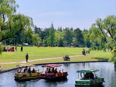 -上海共青森林公园