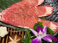 -猫爪爪原切自助烤肉(观音桥阳光世纪店)