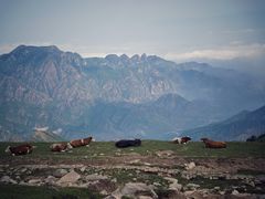 -灵山