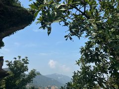 -海上云台山景区