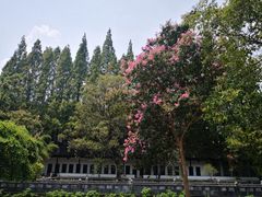 -苏州碑刻博物馆