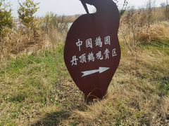 -盐城丹顶鹤湿地生态旅游区
