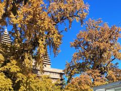 -北京石刻艺术博物馆(五塔寺)