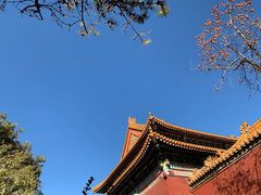 -故宫博物院(故宫)