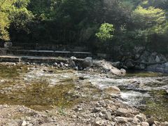 -沣峪森林公园龙潭戏水景区