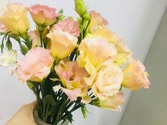 -你好独角兽·蛋糕甜品