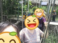 -广东天露山旅游度假区