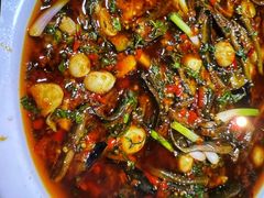 -院8里·小聚园老川菜(九眼桥店)