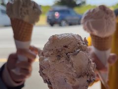 -Dooley's Premium Ice Cream