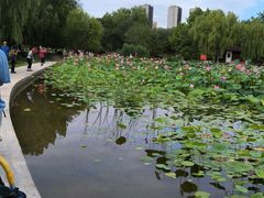 -太阳宫公园
