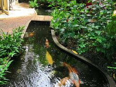 -Fern Forest Cafe