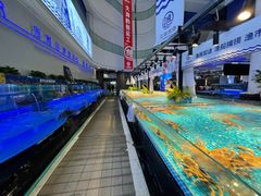 -驻海渔市(置信店)