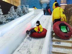 -世界之窗阿尔卑斯冰雪世界