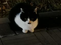 -北京国家会计学院