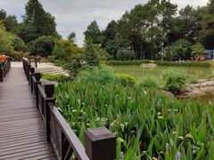 -铁山坪森林公园