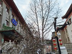 -中国中医科学院西苑医院(本部)