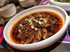 -铁公鸡·四川料理(天环广场店)