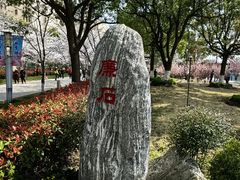 -高东镇樱花园