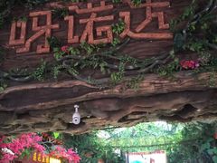 -呀诺达热带雨林