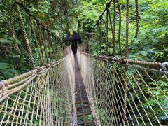 -西双版纳原始森林公园