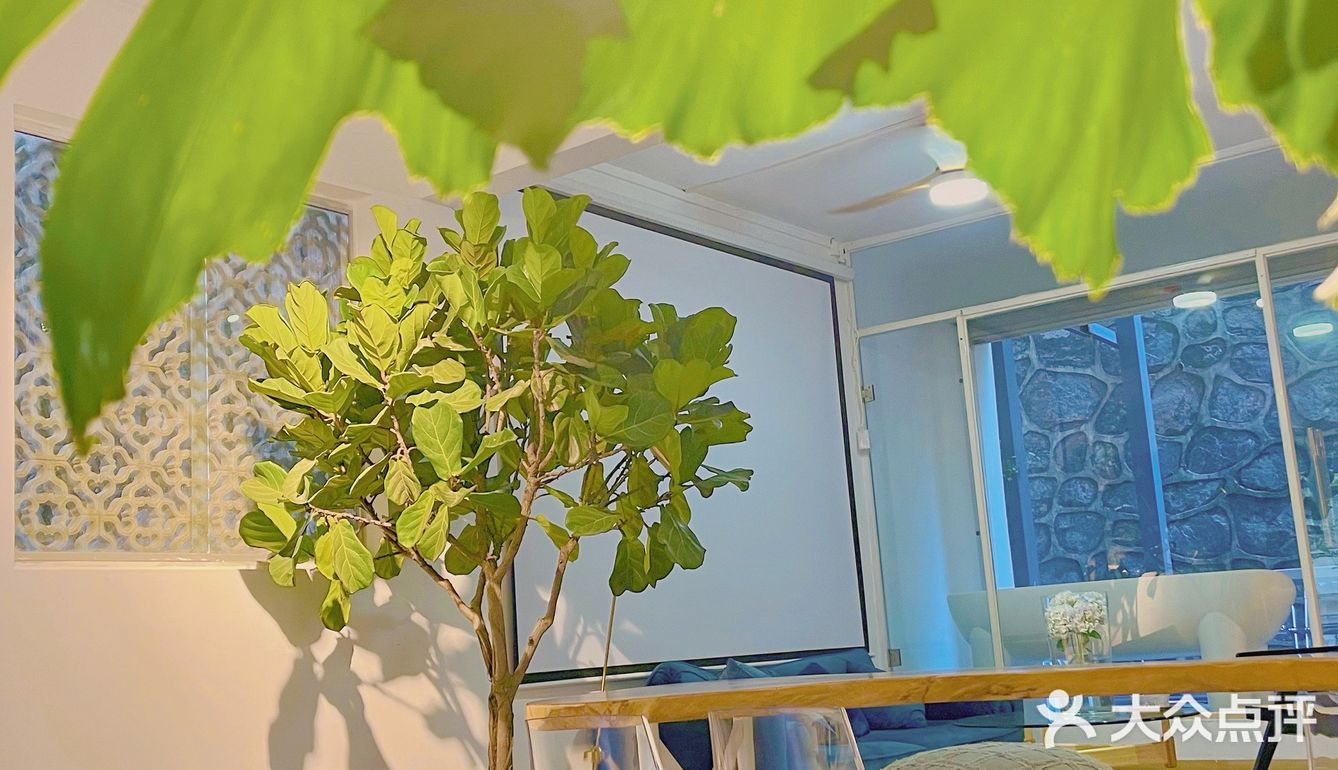 廣州 | 擁有200年樹齡樟樹，隱藏在市橋の咖啡民宿‼️