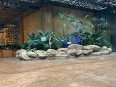 -杭州开元森泊度假乐园