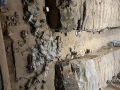 -秦始皇帝陵博物院-丽山园