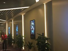 -中影嘉华国际影城(大芬星都里店)