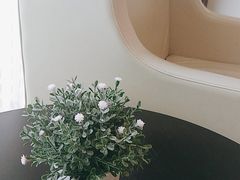 -成都棕南医院·妇科