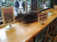 -猫的天空之城概念书店(杭州南宋御街店)