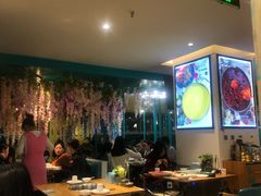 -青瓷火锅料理(西单大悦城店)