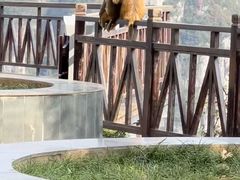 -重庆云阳龙缸景区