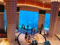 -亚特兰蒂斯水世界冒险乐园