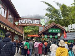 -野象谷景区